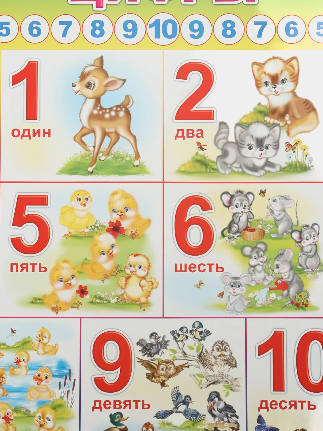 Бирюзовый плакат Цифры. Таблица Умножения. Таблица Сложения. Математика. Алгебра Наглядное пособие
