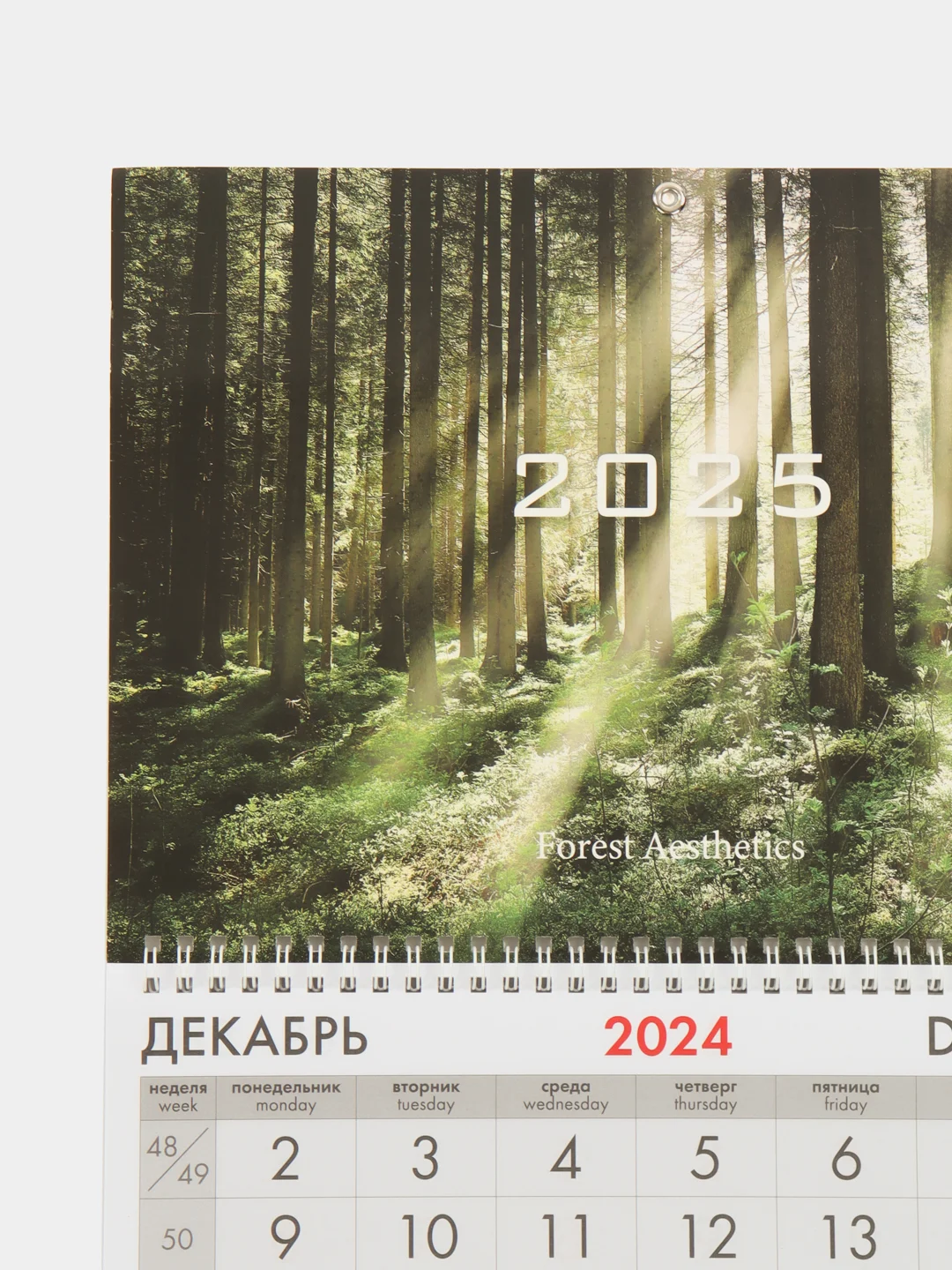 Календарь настенный квартальный отрывной 2025 Brauberg Сказочный лес, 116100