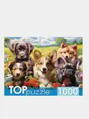Золотистый хаки пазлы 1000 элементов, разные сюжеты