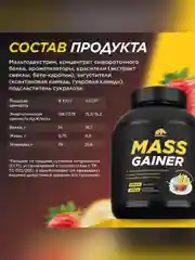 Гейнер PRIMEKRAFT MASS GAINER для набора массы, 3000 г, 30 порций