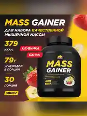 Гейнер PRIMEKRAFT MASS GAINER для набора массы, 3000 г, 30 порций