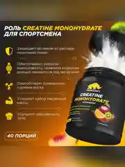 Креатин Моногидрат PRIMEKRAFT Creatine Monohydrate Micronized со вкусом Кола банка 200 гр