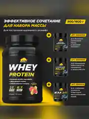 Протеин сывороточный PRIMEKRAFT Whey Protein, 900 г, 30 порций