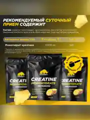 Микронизированный Креатин Моногидрат PRIMEKRAFT Creatine Monohydrate Micronized, 500 г