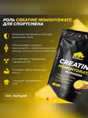 Микронизированный Креатин Моногидрат PRIMEKRAFT Creatine Monohydrate Micronized, 500 г