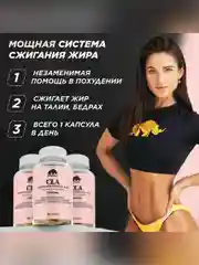 БАД к пище Primekraft "Капсулированная Конъюгированная Линолевая Кислота" (CLA), 90 капсул