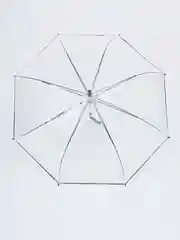 Зонт прозрачный