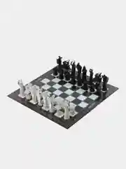 Шахматы Wizzard Chess, Гарри Поттер