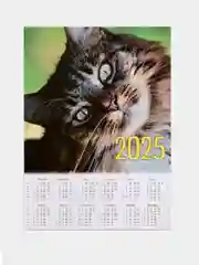 Календарь листовой, 2025 год, А4