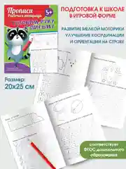 Прописи. Рабочая тетрадь. Готовим руку к письму