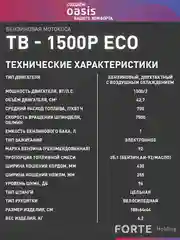 Бензиновая мотокоса "Oasis" TB-1500P Eco