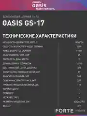 Голубой бензопила цепная бензиновая "Oasis" GS-17