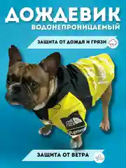 Красный одежда для собак, дождевик для собак, плащ-дождевик, комбинезон с капюшоном "The DogFace"