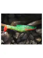Лесной зеленый силиконовая приманка из Сербии ORKA SHAD 26 TFB