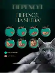 Влажный корм для кошек SHEBA® с уткой. «Ломтики в соусе. Утка», 28 шт по 75г