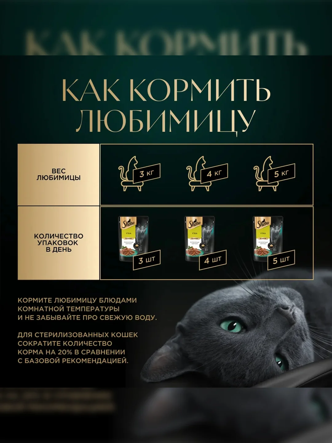 Влажный корм для кошек SHEBA® с уткой. «Ломтики в соусе. Утка», 28 шт по 75г