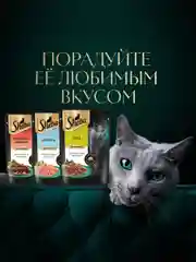 Влажный корм для кошек SHEBA® с уткой. «Ломтики в соусе. Утка», 28 шт по 75г