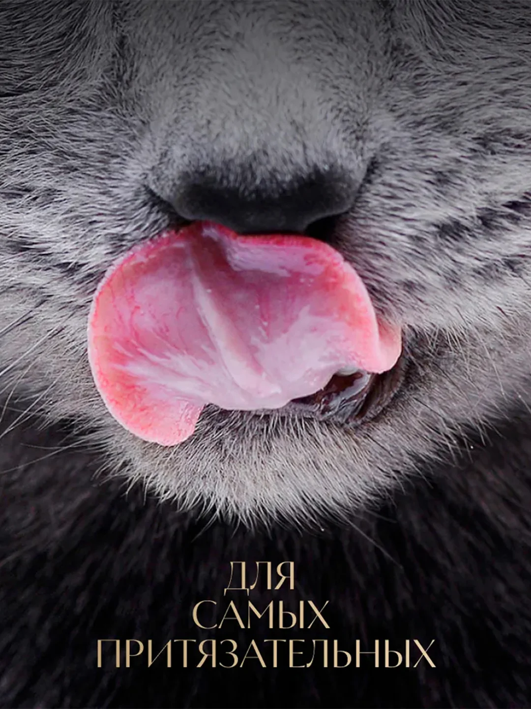 Влажный корм для кошек SHEBA® с уткой. «Ломтики в соусе. Утка», 28 шт по 75г