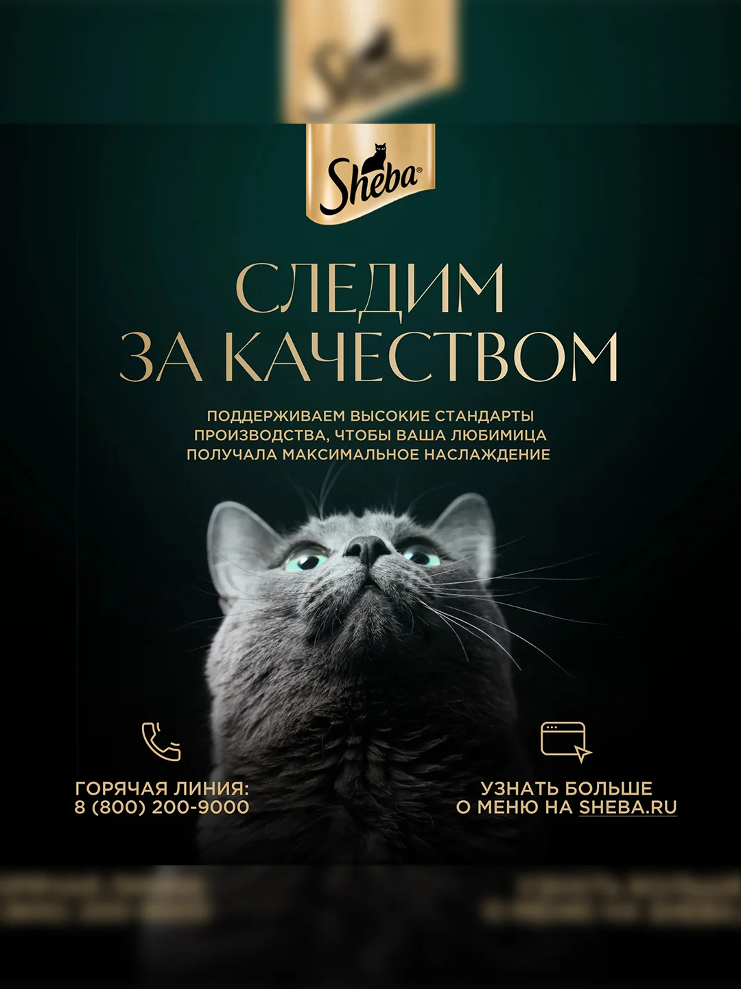 Влажный корм для кошек SHEBA® с уткой. «Ломтики в соусе. Утка», 28 шт по 75г
