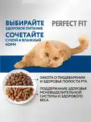 Cухой полнорационный корм PERFECT FIT™ для живущих в помещении кошек, с курицей, 1.2кг