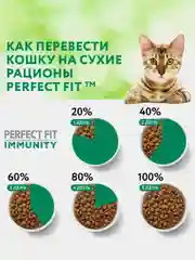 Сухой корм Perfect Fit Immunity для иммунитета кошек, говядина, семяна льна, голубика 580г
