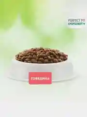 Сухой корм Perfect Fit Immunity для иммунитета кошек, говядина, семяна льна, голубика 580г