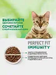 Сухой корм Perfect Fit Immunity для иммунитета кошек говядина, семяна льна, голубика 1.1кг