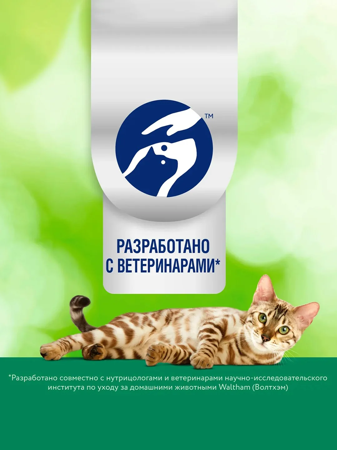 Сухой корм Perfect Fit Immunity для иммунитета кошек говядина, семяна льна, голубика 1.1кг
