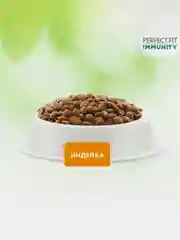 Сухой корм Perfect Fit Immunity для иммунитета кошек, индейка, спирулина и клюква, 580г