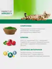 Сухой корм Perfect Fit Immunity для иммунитета кошек, индейка, спирулина и клюква, 580г