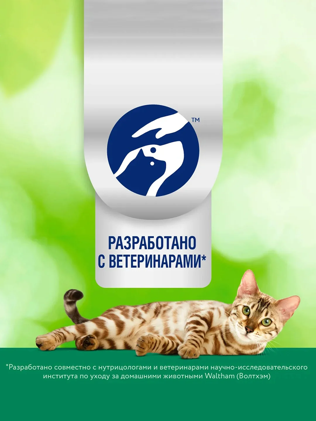 Сухой корм Perfect Fit Immunity для иммунитета кошек, индейка, спирулина и клюква, 580г