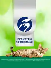Сухой корм Perfect Fit Immunity для иммунитета кошек, индейка, спирулина и клюква, 580г