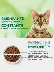 Сухой корм Perfect Fit Immunity для иммунитета кошек, индейка, спирулина и клюква, 580г
