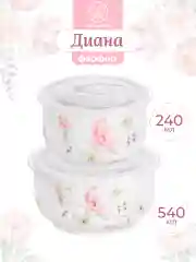 Набор 2-х салатников "Диана" с крышкой, 540 мл и 240 мл