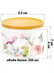 Банка для хранения с крышкой "Певчие птички", 250 мл