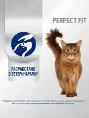Cухой полнорационный корм PERFECT FIT™ для котят от 2 до 12 месяцев, с курицей, 650 г