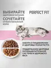 Cухой полнорационный корм PERFECT FIT™ для котят от 2 до 12 месяцев, с курицей, 650 г