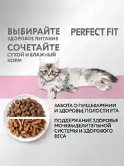 Cухой полнорационный корм PERFECT FIT™ для котят от 2 до 12 месяцев, с курицей, 1.2кг