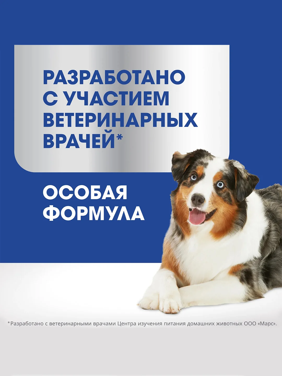 Лакомство для собак PERFECT FIT™ JOINTS, с говядиной, рыбьим жиром и глюкозамином, 130г