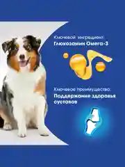 Лакомство для собак PERFECT FIT™ JOINTS, с говядиной, рыбьим жиром и глюкозамином, 130г