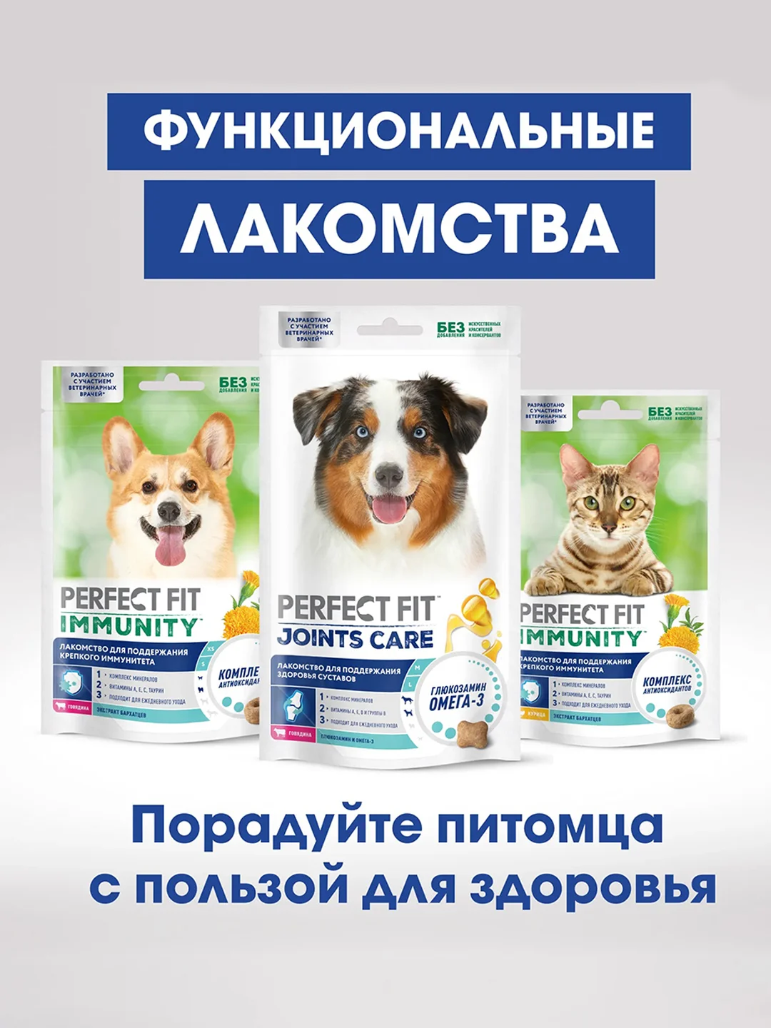 Лакомство для собак PERFECT FIT™ JOINTS, с говядиной, рыбьим жиром и глюкозамином, 130г