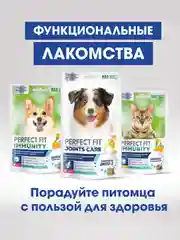 Лакомство для собак PERFECT FIT™ JOINTS, с говядиной, рыбьим жиром и глюкозамином, 130г