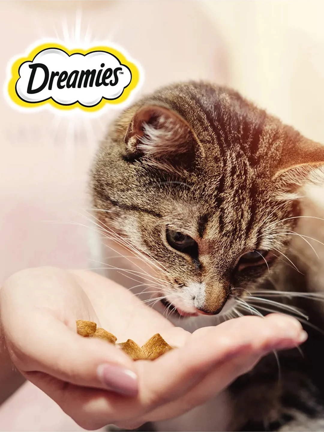 Лакомство Dreamies™ MIX для взрослых кошек, с лососем и сыром, 60г