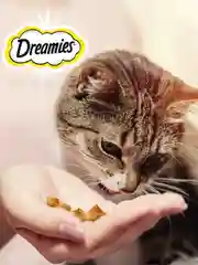 Лакомство Dreamies™ MIX для взрослых кошек, с лососем и сыром, 60г