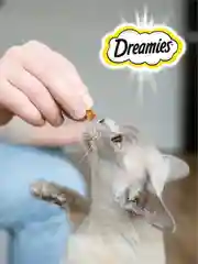 Лакомство Dreamies™ MIX для взрослых кошек, с лососем и сыром, 60г
