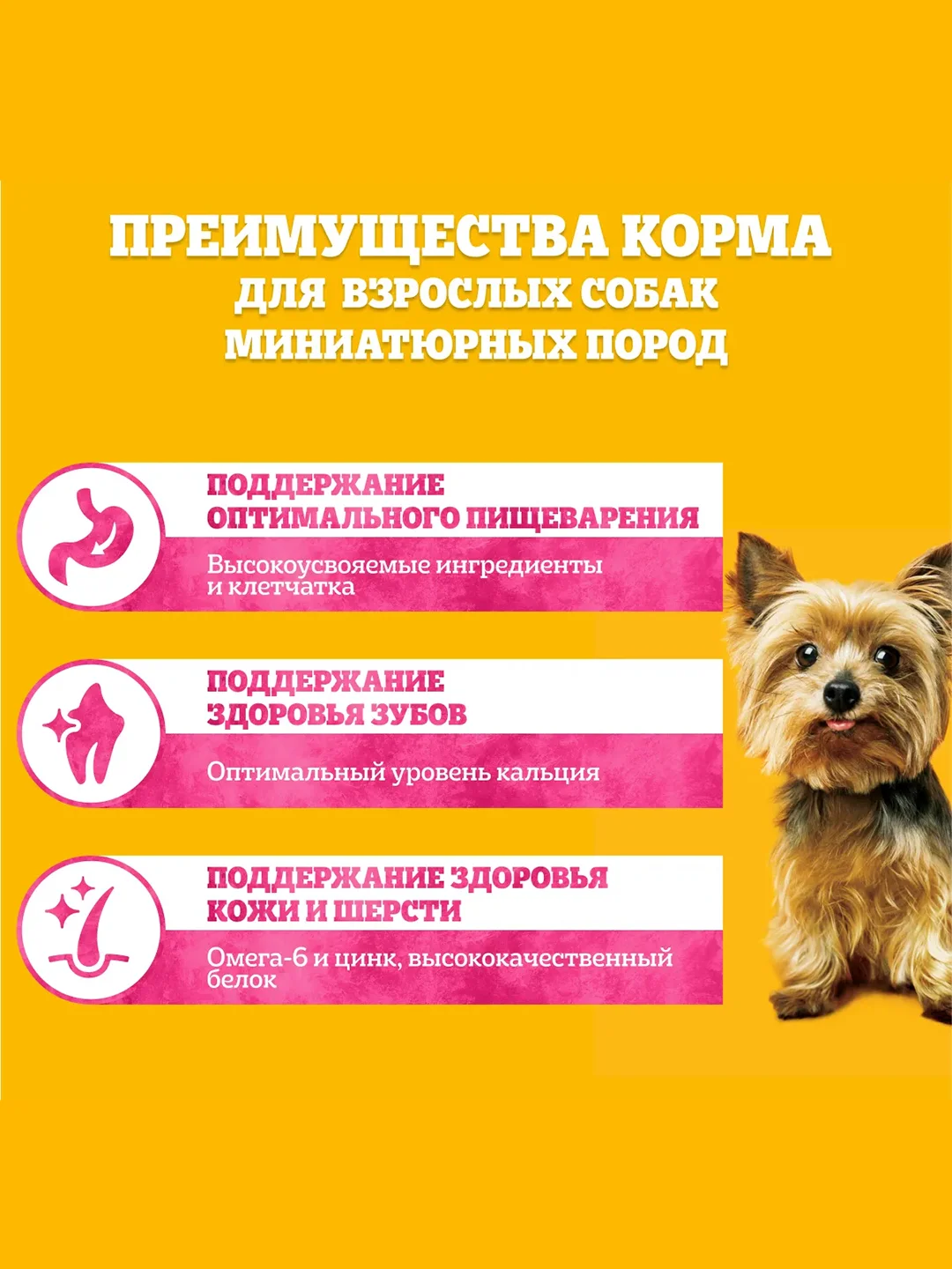 Сухой корм PEDIGREE® для собак миниатюрных пород, с говядиной, 1.2кг