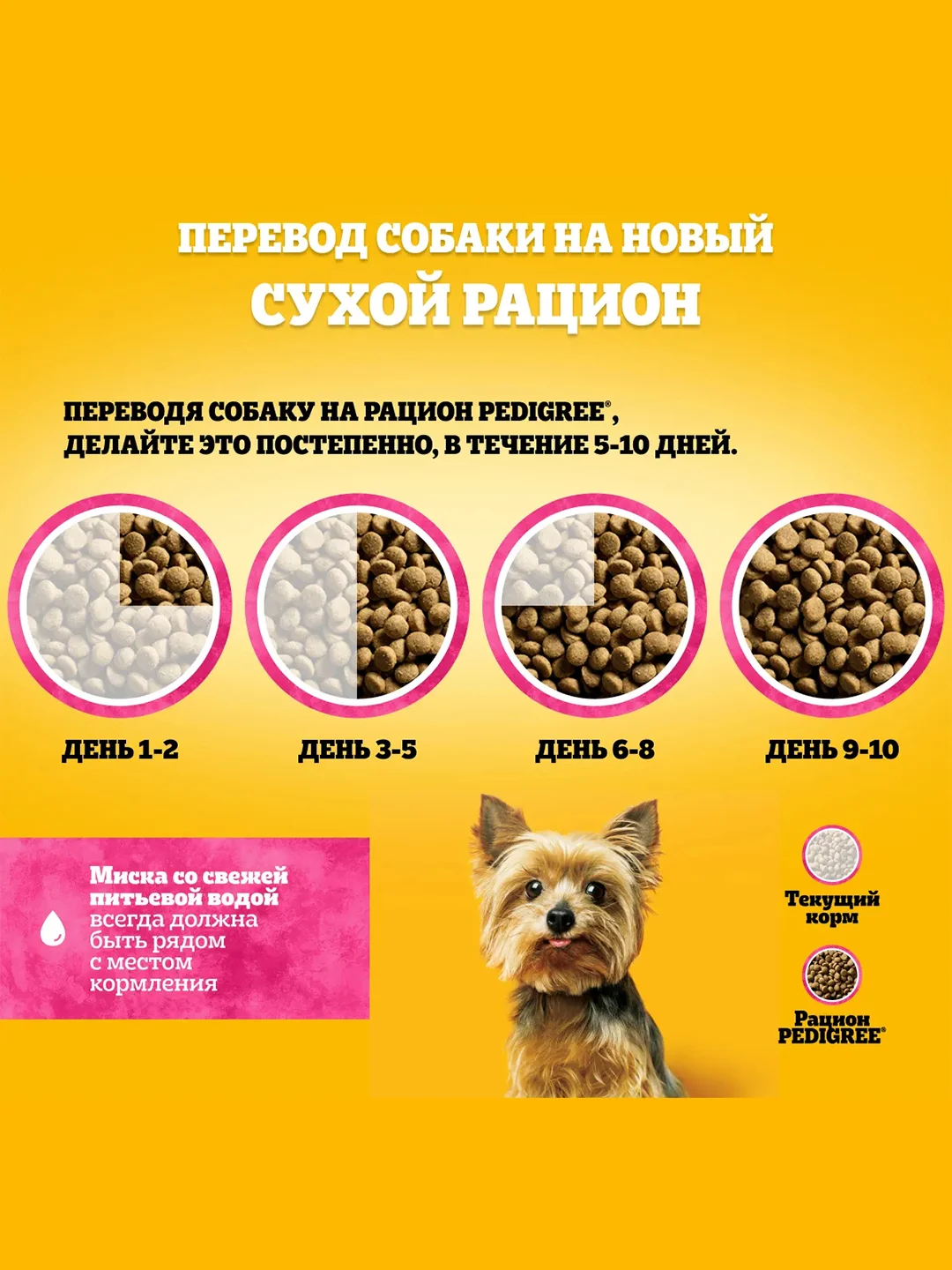 Сухой корм PEDIGREE® для собак миниатюрных пород, с говядиной, 1.2кг