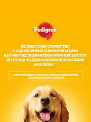 Сухой корм PEDIGREE® для собак миниатюрных пород, с говядиной, 1.2кг