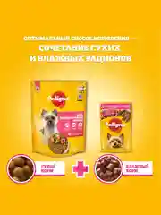 Сухой корм PEDIGREE® для собак миниатюрных пород, с говядиной, 1.2кг