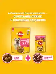 Сухой корм PEDIGREE® для собак миниатюрных пород, с говядиной, 600г